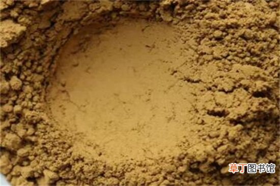 菊花粉的功效与作用及禁忌