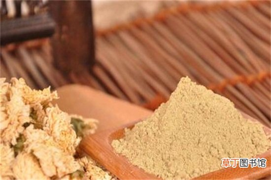 菊花粉的功效与作用及禁忌