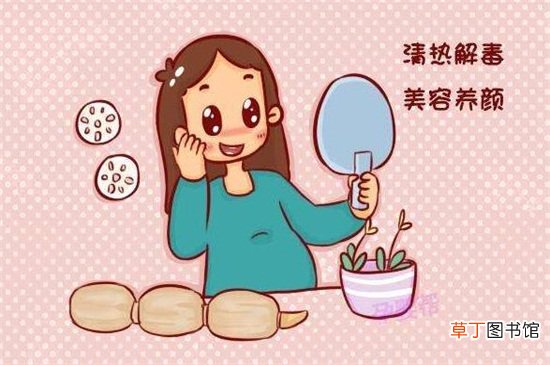 菊花粉的功效与作用及禁忌