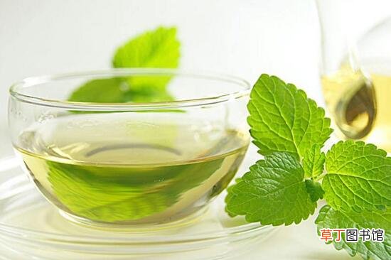 十大排毒养颜美白花茶
