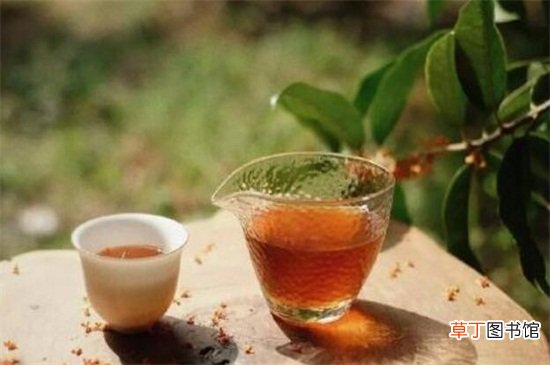 桂花茶的功效与作用