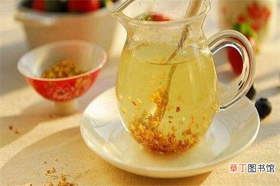 桂花茶的功效与作用