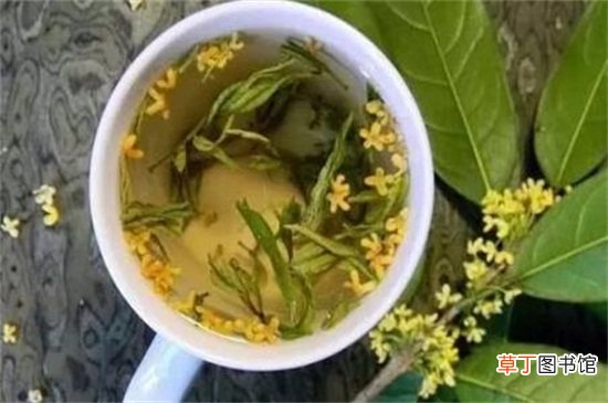 桂花茶的功效与作用