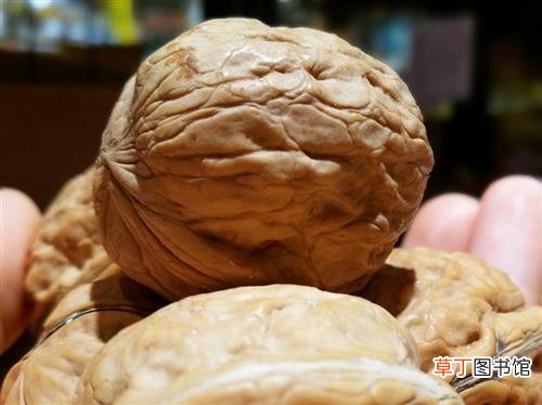 核桃的功效与作用及禁忌，核桃能补脑吗