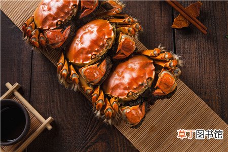 体寒的人可以吃螃蟹吗
