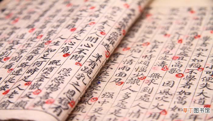 纯礼字彝叟文言文阅读翻译 纯礼字彝叟文言文阅读解析