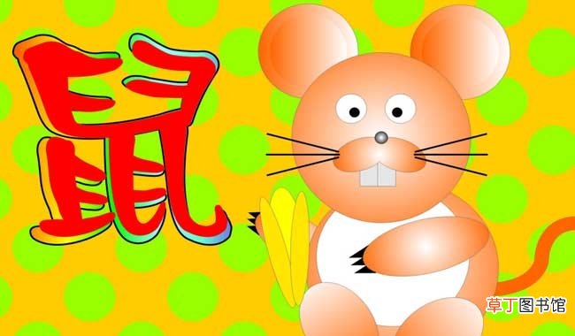 属鼠的与什么生肖最适合婚配 鼠配什么生肖结婚最好