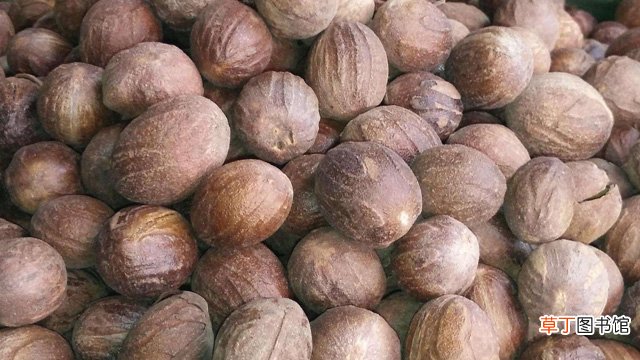 多香果和香果的区别