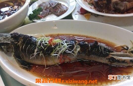 鲟鱼的营养价值与功效 吃鲟鱼的好处