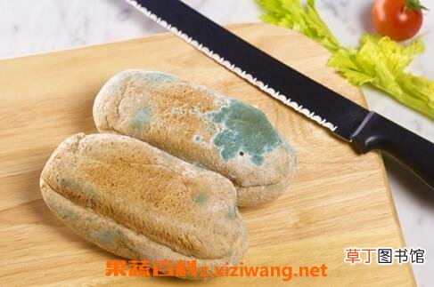 变质食品的特征 变质食品的识别方法