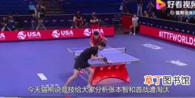 张本智和一轮游 首秀爆冷惨遭出局！！【图】