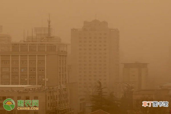 本次沙尘影响范围超380万平方公里是怎么回事？影响有多大？