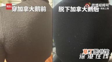 女子买加拿大鹅穿半天满身鹅毛 说好的“终生保修”有保障吗?