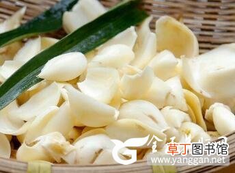 肝病患者吃什么食物有助于养肝？