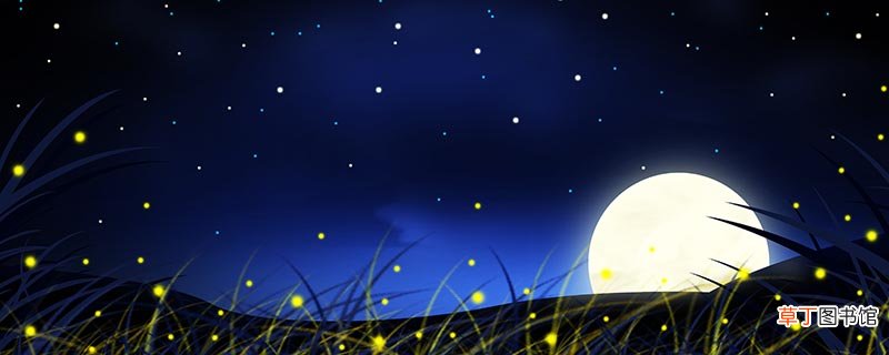 秋夕描写了宫女的什么活动 秋夕中写了宫女的什么活动