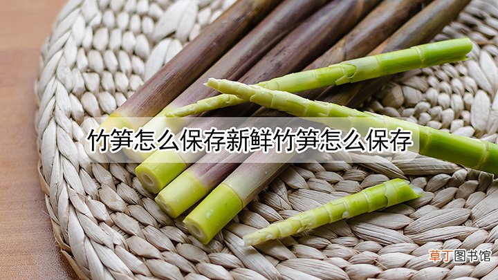竹笋怎么才可以保存新鲜竹笋