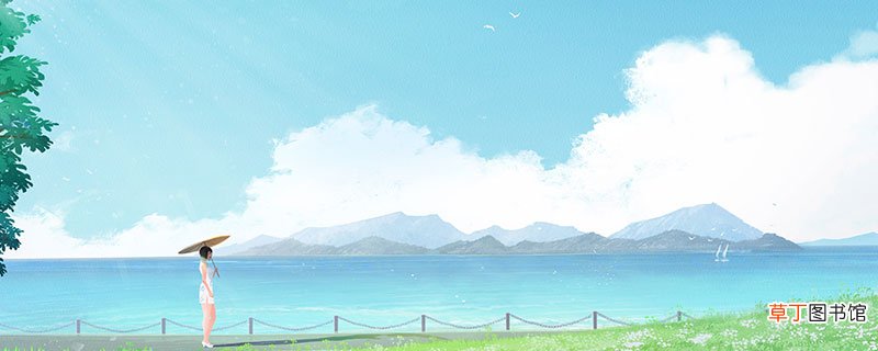 小荷才露尖尖角的小荷指的是什么 小池全诗