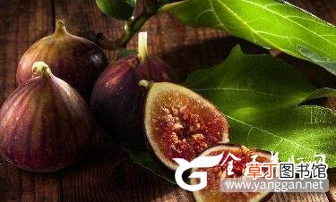 肝毒侵袭导致肝脏有问题 远离肝病请多吃这几种食物