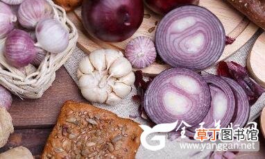 肝毒侵袭导致肝脏有问题 远离肝病请多吃这几种食物