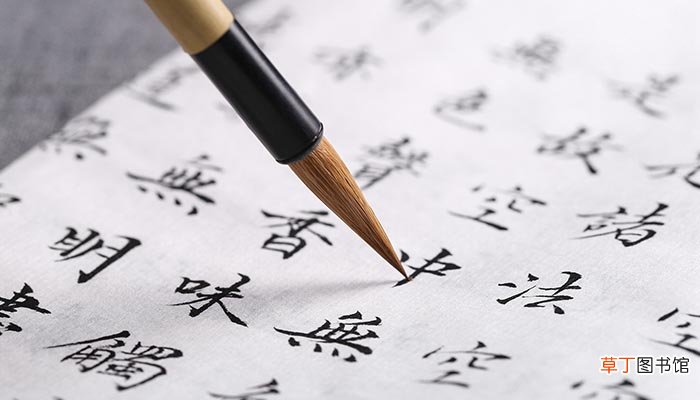陈实与梁上君子文言文翻译 陈实与梁上君子翻译