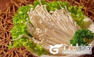 脂肪肝患者秋季多吃这些食物养肝又护肝
