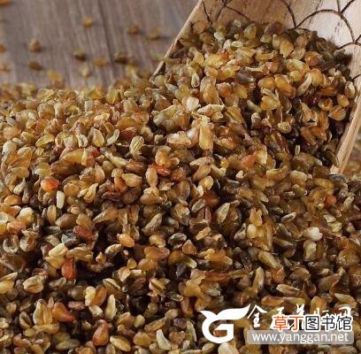 天然最好的养肝护肝食物 每天吃一点清肝火排肝毒
