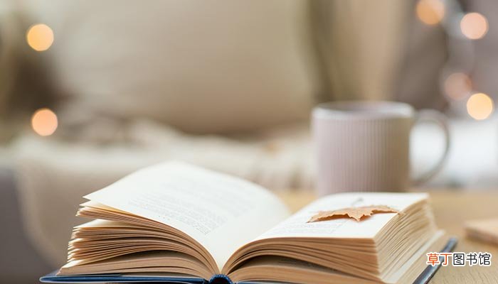 夫没者岂苟然哉的意思 夫没者岂苟然哉是什么意思