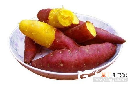 天然最好的养肝护肝食物 每天吃一点清肝火排肝毒