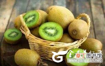 天然最好的养肝护肝食物 每天吃一点清肝火排肝毒