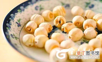 肝不好的人饮食注意这4点 肝会慢慢恢复健康