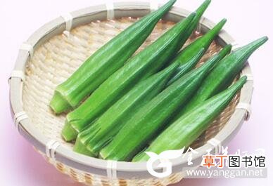 推荐几种保护肝脏的食物 检查经常吃可以修复肝细胞