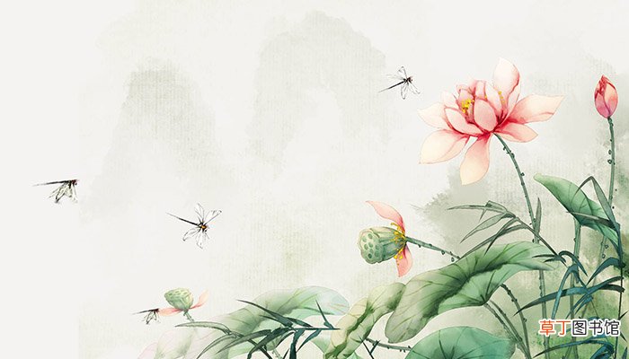 树荫照水爱晴柔是什么意思是指什么 树荫照水爱晴柔是什么意思