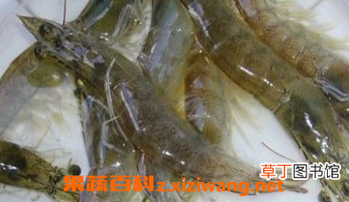 白虾和基围虾的区别