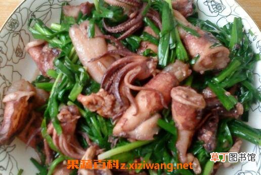 海兔是什么 海兔的功效与作用