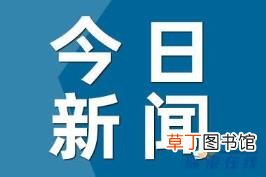 女网红为何被认定为村霸? 具体是什么情况？