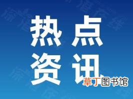 公职人员称打12345没用被停职 事件详情回顾！
