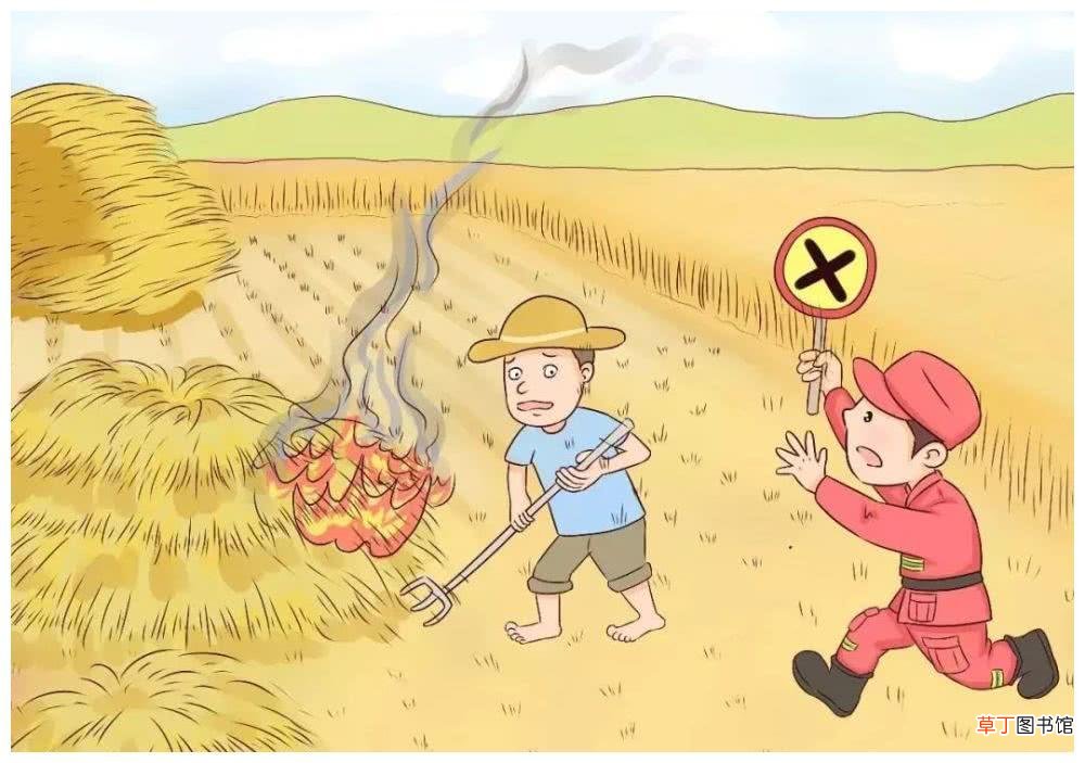 森林防火内容怎么写？