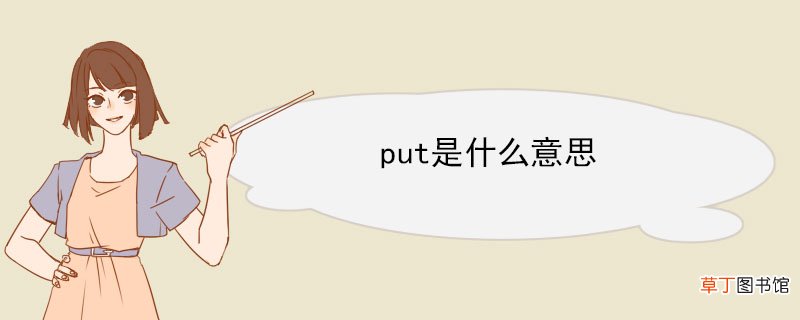 put是什么意思 put的例句