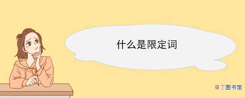 什么是限定词 限定词有哪些
