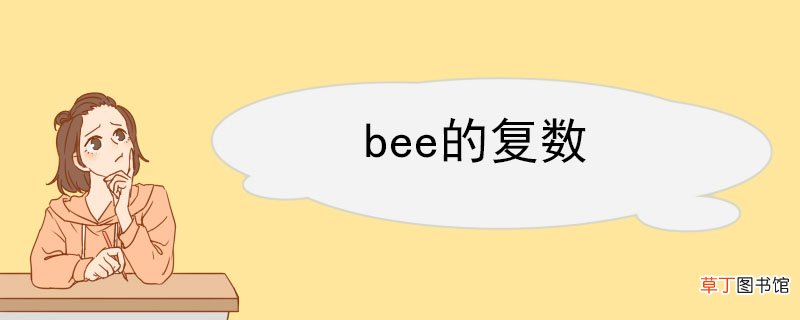 bee的复数 bee的用法