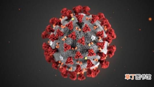 新型冠状病毒能存活多少天-新型冠状病毒能存活多长时间