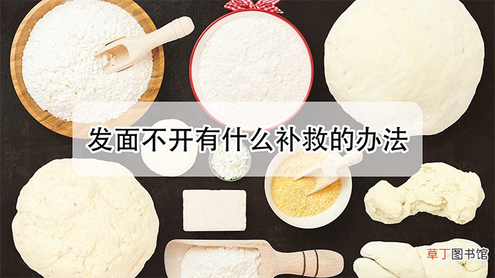 发面发不开有什么补救的办法
