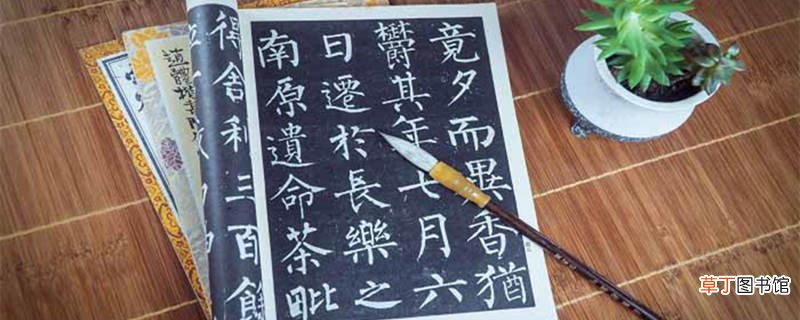 雅人四好指的是什么 雅人四好指的是什么意思
