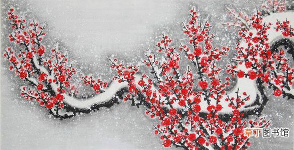 描写梅花的诗句有哪些？