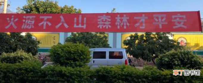 森林防火安全知识有哪些？
