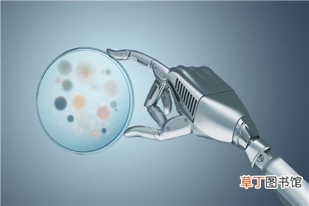 贫血的人可以吃三粉吗