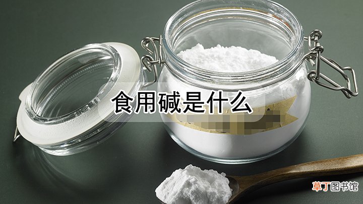 食用碱是什么