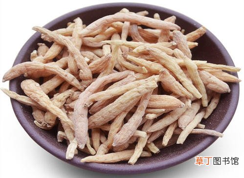 太子参功效与作用-太子参功效与作用是什么