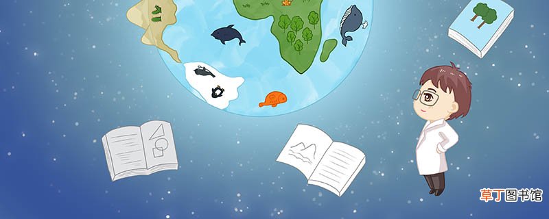 液化石油气的主要成分 液化石油气主要成分