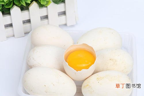 男人吃鹅蛋有什么好处-男人吃鹅蛋的好处是什么